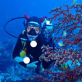 La plongée sous marine